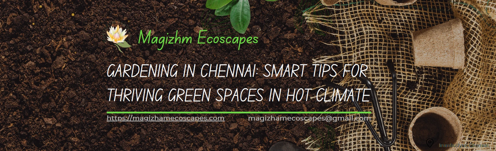 🌿 Gardening in Chennai: Smart Tips for Thriving Green Spaces in Hot Climate